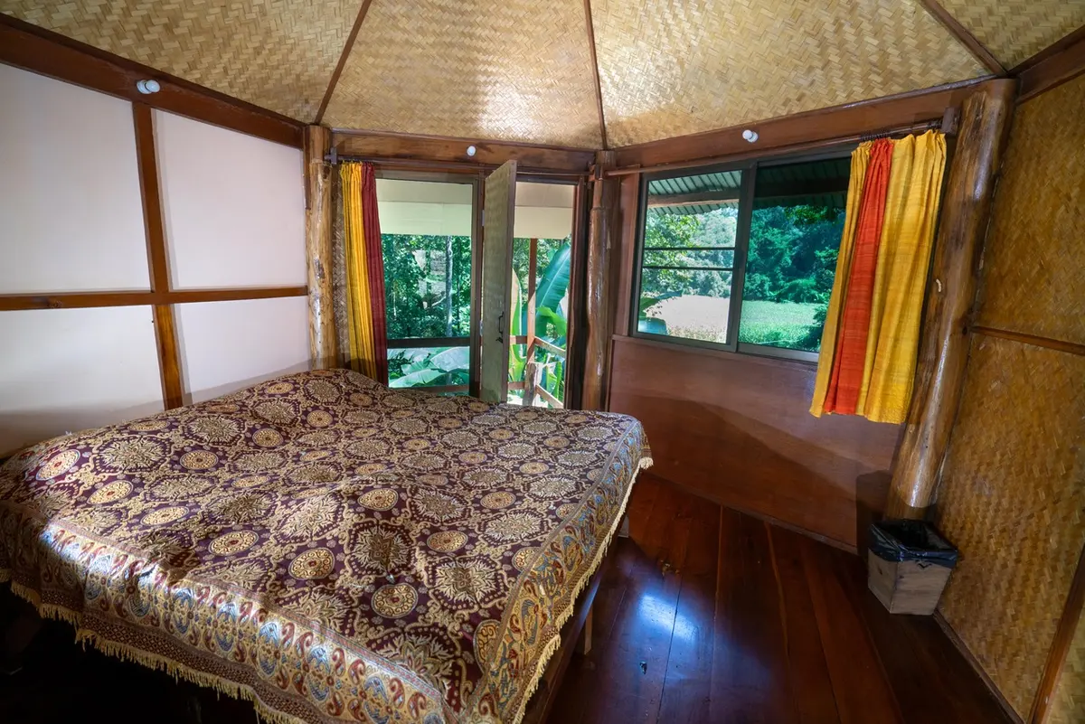 Bamboo-lined bungalow room with forest views at Cave Lodge