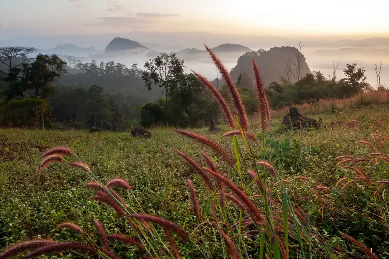 Morning mist over the valley
