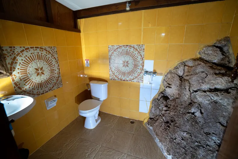 Tiled bathroom built around a natural boulder