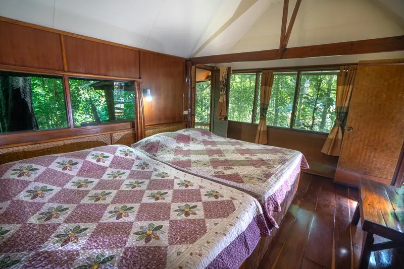 Timber room with two beds and forest views