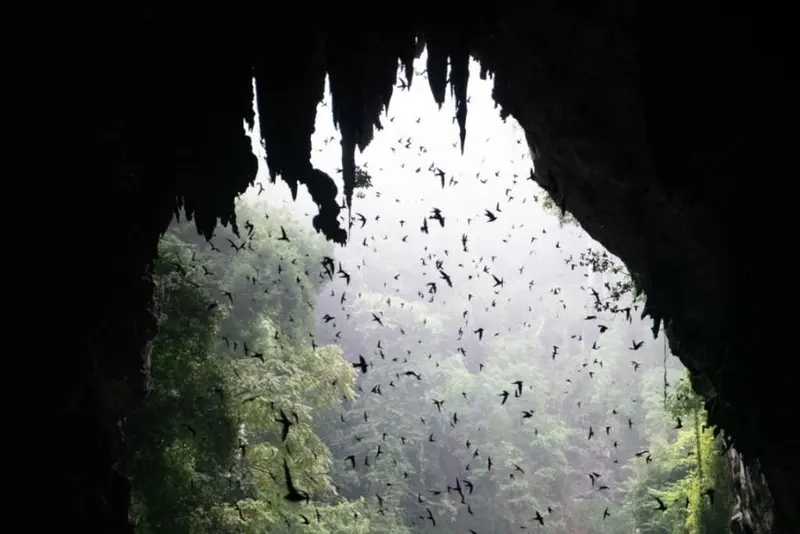 Trip 4: 3 km with Swift Bird Show & 2 Caves