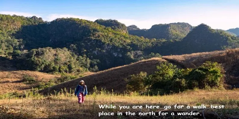 Half Day: Wild Cave & Forest Exploration – photo 1