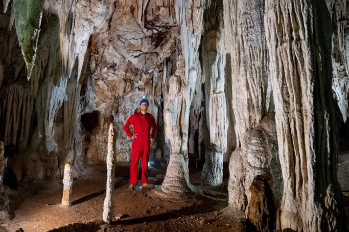 Half Day: Wild Cave & Forest Exploration – photo 4