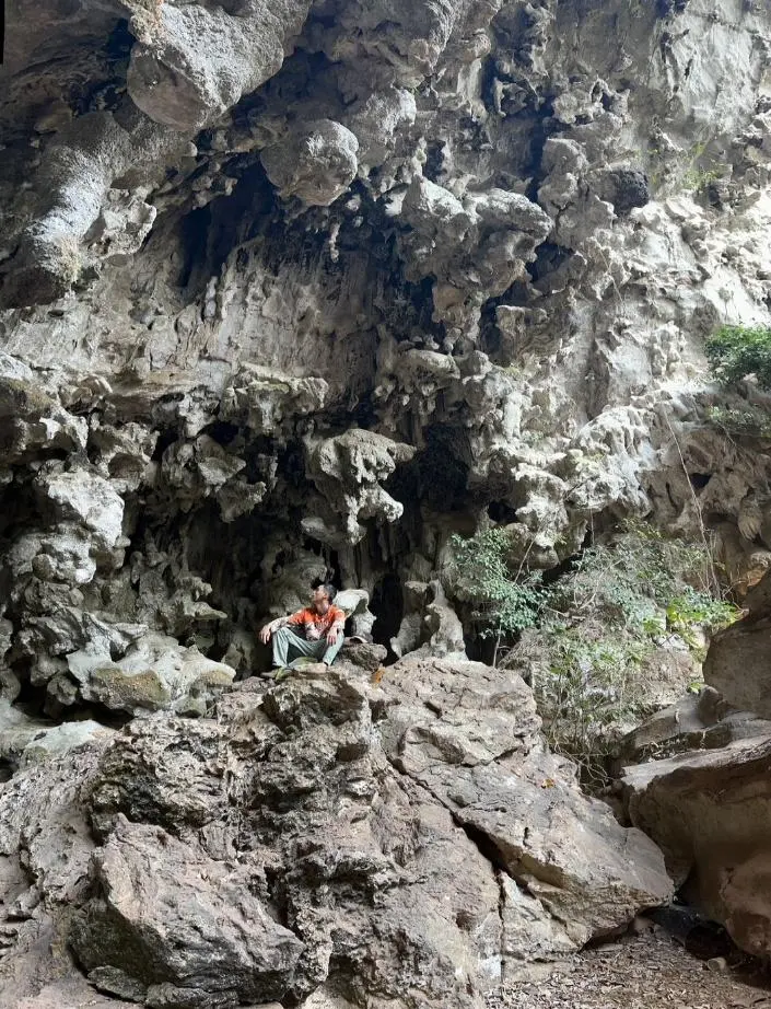 Half Day: Wild Cave & Forest Exploration – photo 5