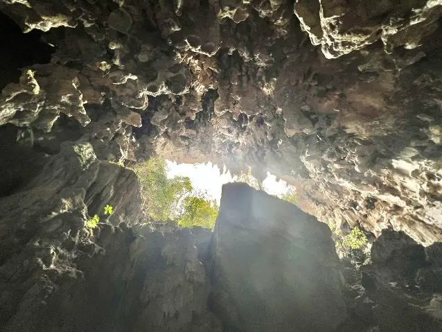 Daylight shining into a wild cave