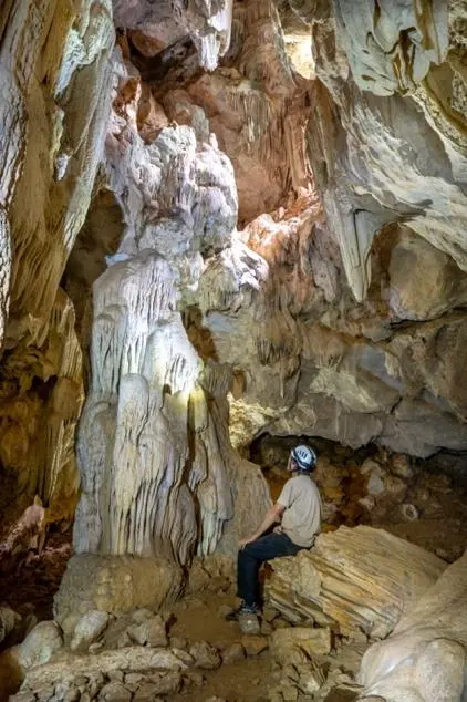 Half Day: Wild Cave & Forest Exploration – photo 7