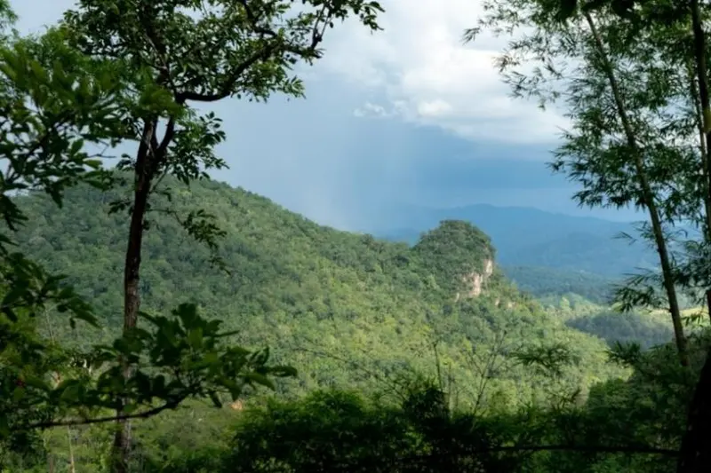 Half Day: Wild Cave & Forest Exploration – photo 8