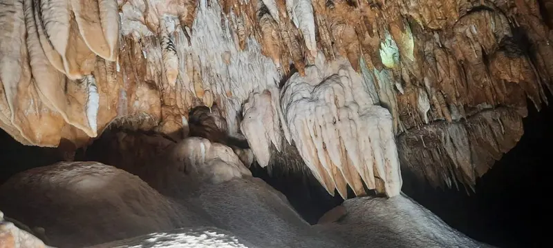 Trekking Trip 2: High Ridge Forest Walk & Wild Cave – photo 2
