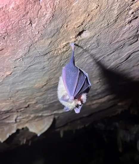 Caving Trip 1: Three Caves and Walking Tour – photo 7