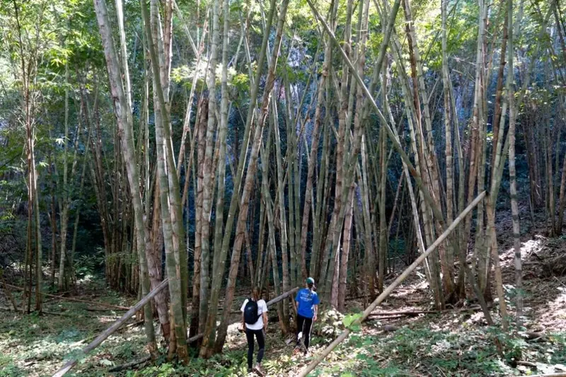 2 & 3 Day Hill Tribe Treks – photo 2
