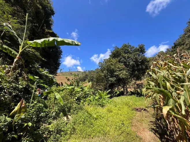 2 & 3 Day Hill Tribe Treks – photo 4